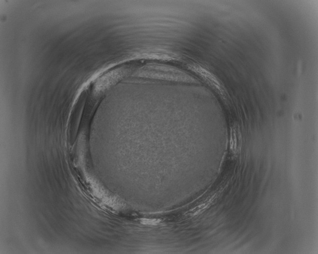 X0000084570388200703091816