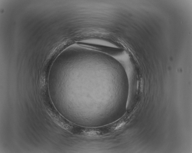 X0000084570407200703091816