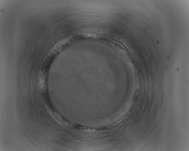 X0000084570408200703091816