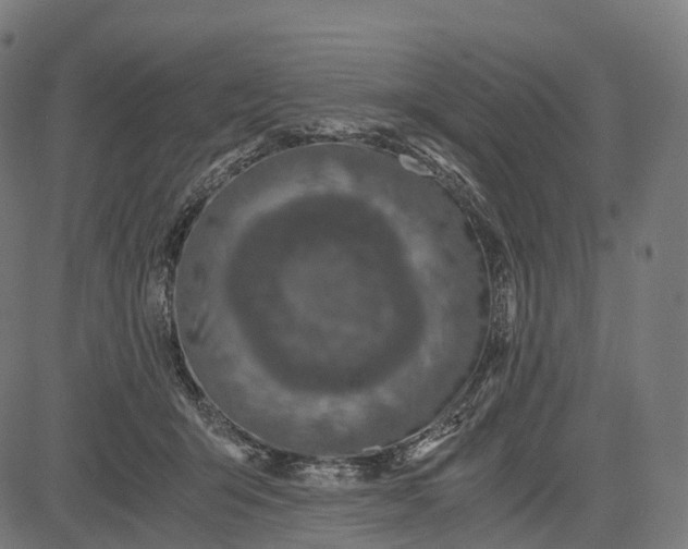 X0000084570415200703091816