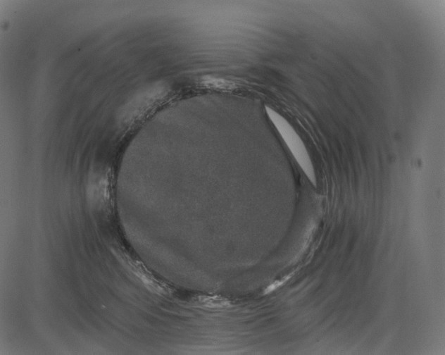 X0000084570424200703091816