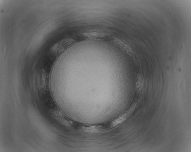 X0000084570430200703091816