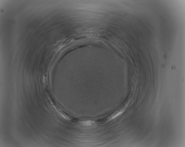 X0000084570432200703091816