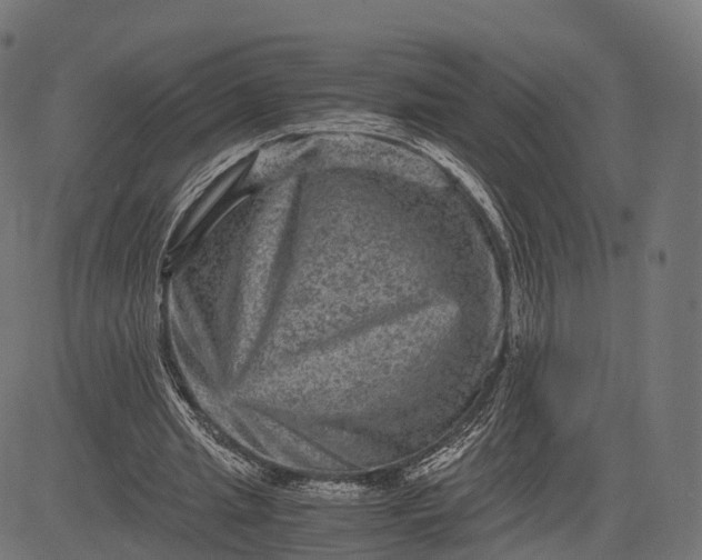 X0000084570437200703091815