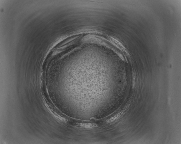X0000084570439200703091815