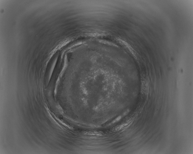 X0000084570443200703091815