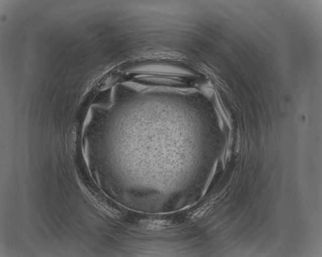 X0000084570448200703091815