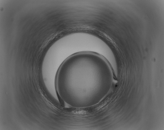 X0000084570452200703091815