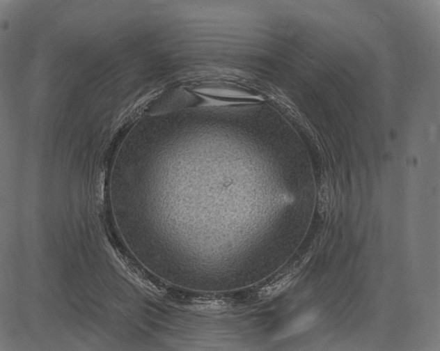 X0000084570454200703091815
