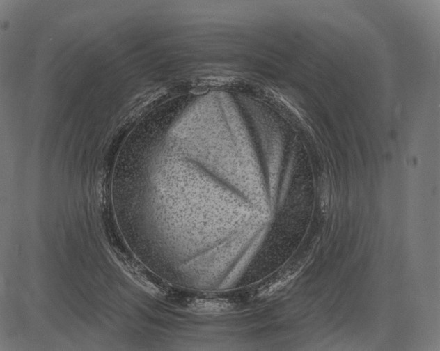 X0000084570455200703091815