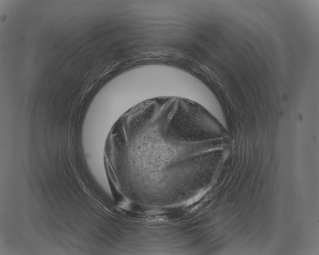 X0000084570456200703091815