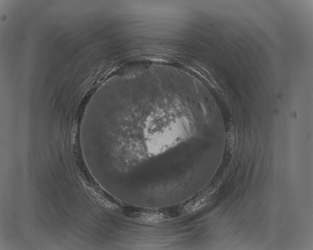 X0000084570458200703091815
