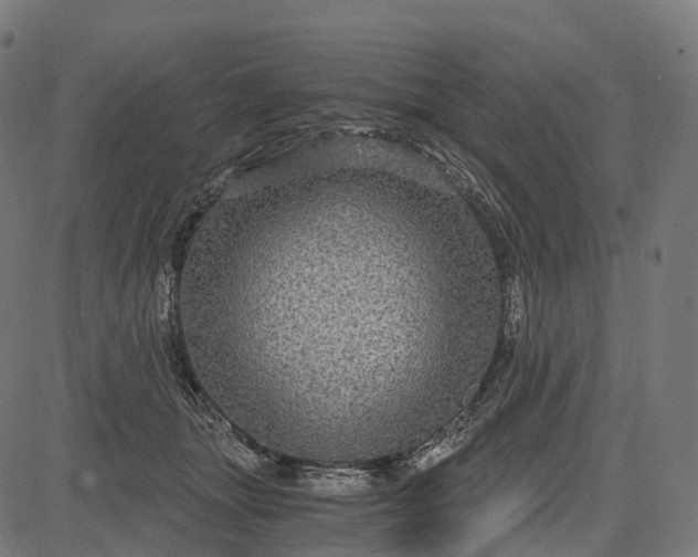X0000084570463200703091815
