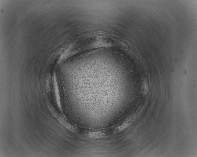 X0000084570468200703091815