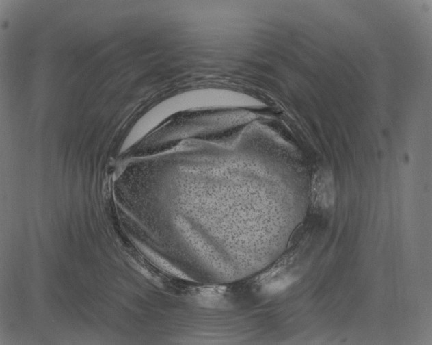 X0000084570474200703091816