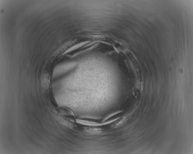 X0000084570476200703091816