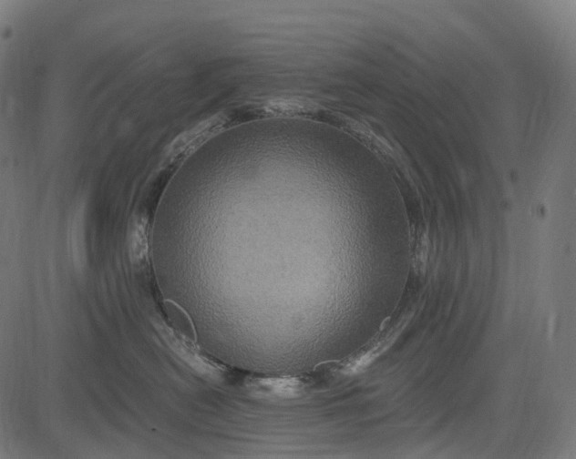X0000084570478200703091816