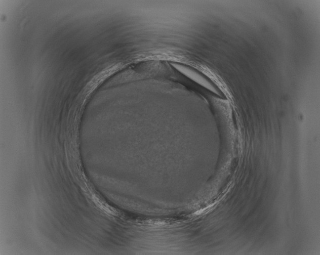 X0000084570481200703091815