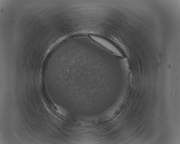 X0000084570492200703091815