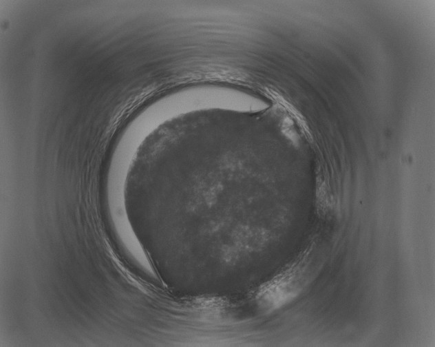 X0000084570493200703091815
