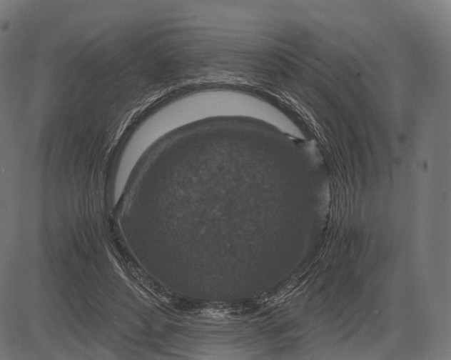 X0000084570496200703091815