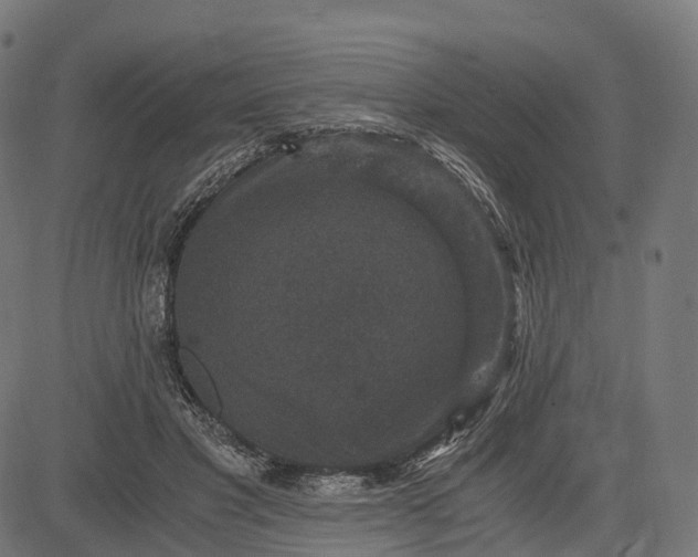 X0000084570501200703091814