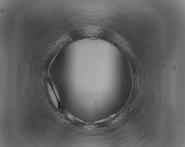 X0000084570505200703091814