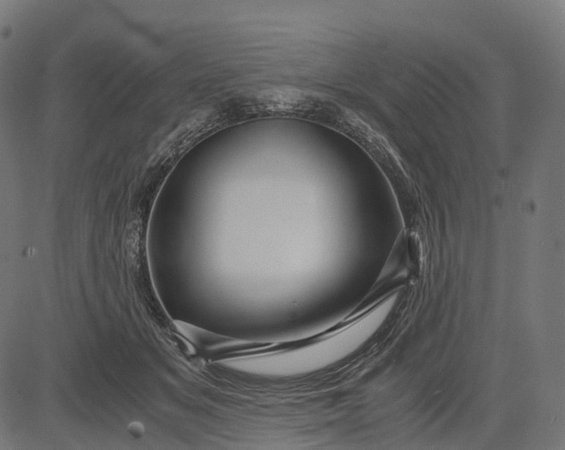 X0000084570509200703091814