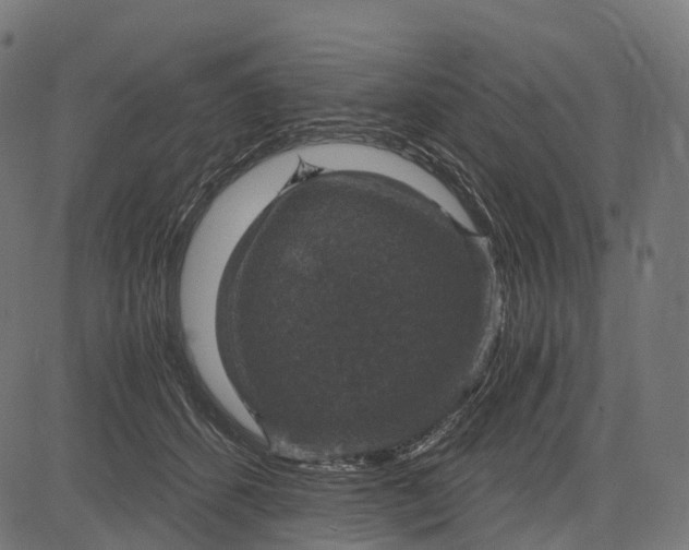 X0000084570512200703091814