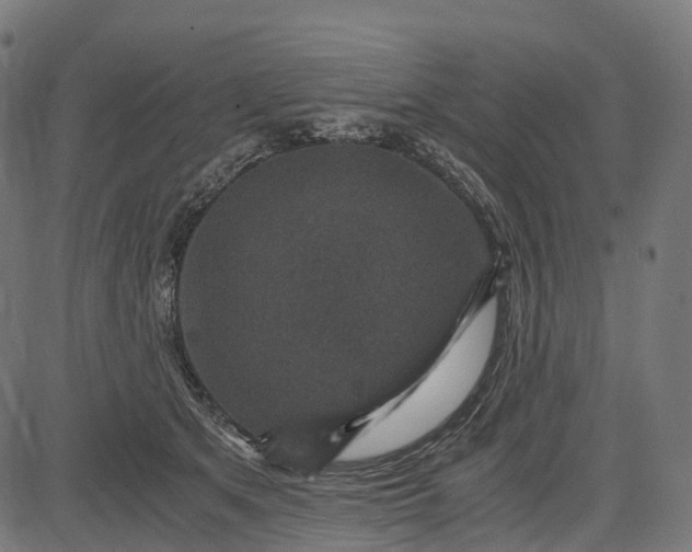 X0000084570513200703091814