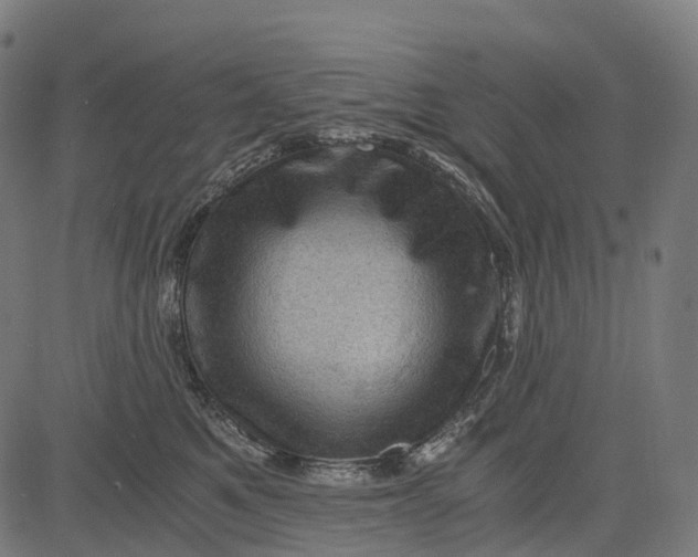 X0000084570521200703091814