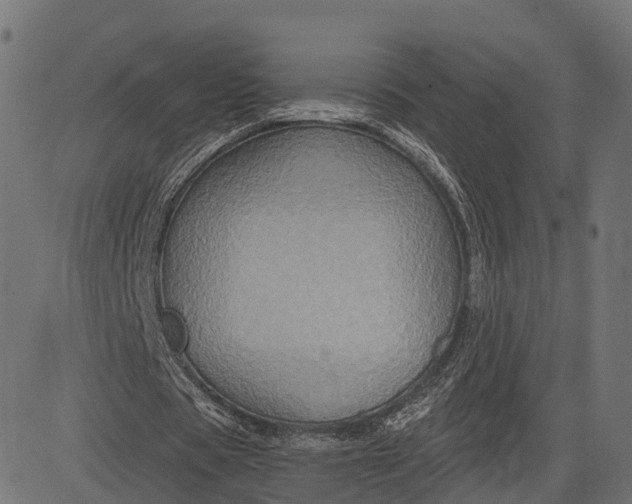 X0000084570529200703091813