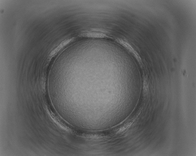 X0000084570533200703091813