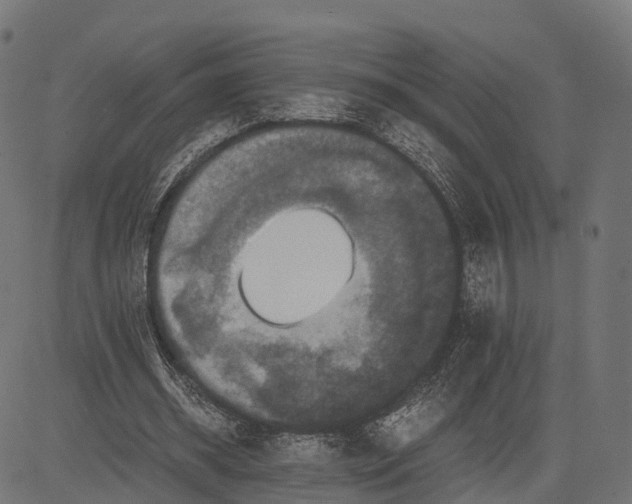 X0000084570534200703091813