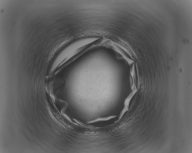 X0000084570538200703091813