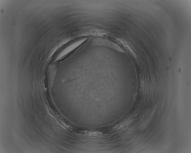 X0000084570539200703091813