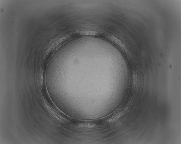X0000084570541200703091813