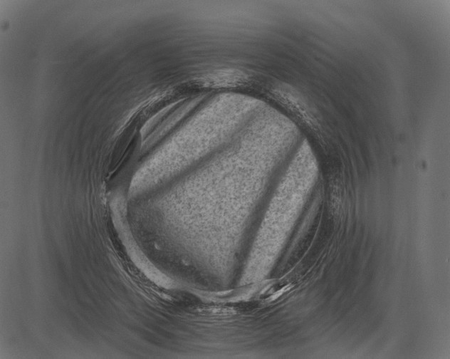 X0000084570543200703091813