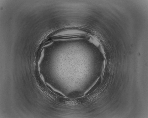 X0000084570544200703091813