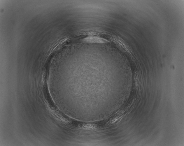 X0000084570546200703091814