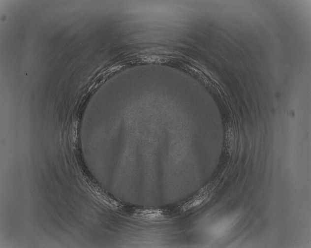 X0000084570554200703091814
