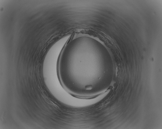 X0000084570558200703091814