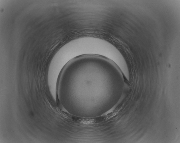 X0000084570560200703091814