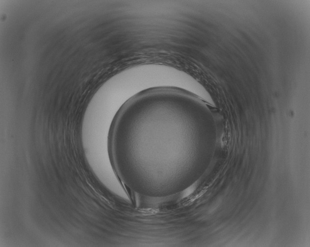 X0000084570562200703091814