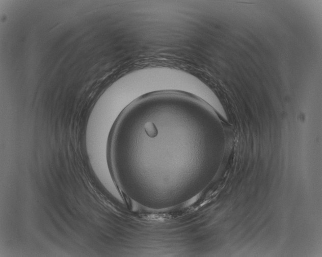 X0000084570566200703091814