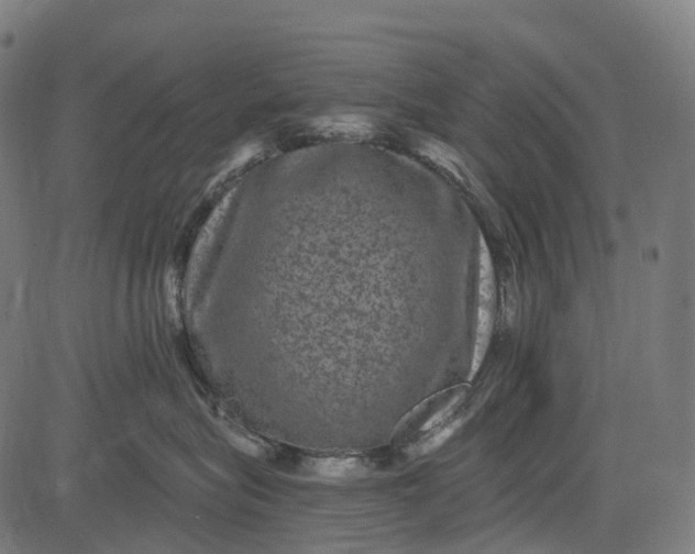 X0000084570575200703091814