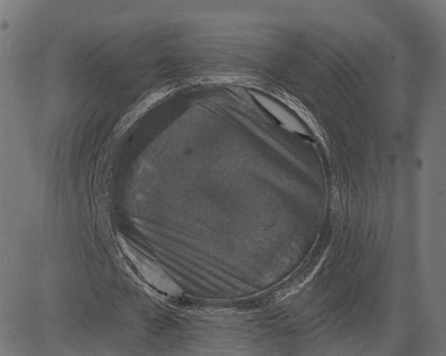 X0000084570577200703091813