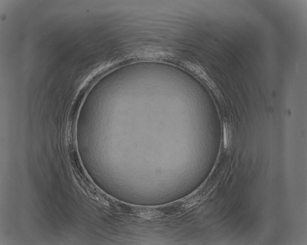 X0000084570579200703091813