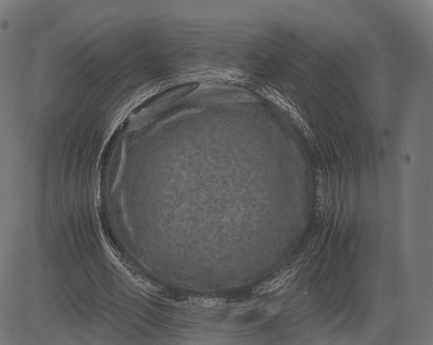 X0000084570582200703091813