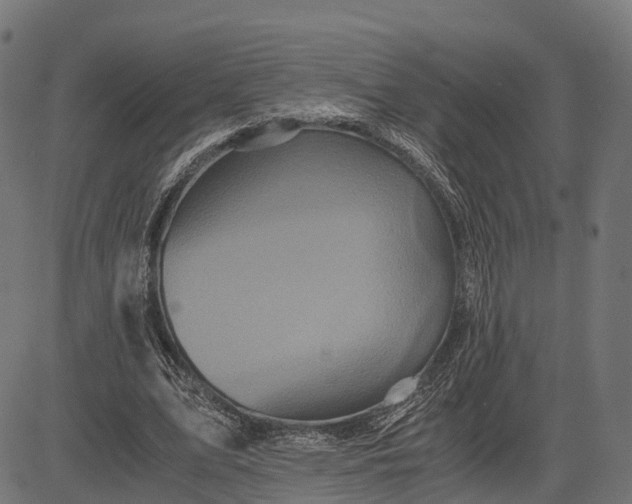 X0000084570583200703091813